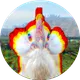 KyGuy2002's avatar